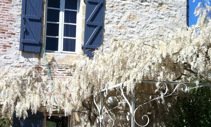 Arcambal House | Idyllic Retreat Surrounded by Lush Greenery Near St Cirq Lapopie