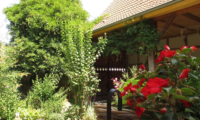 Epfig Apartment | Charming Cottage Retreat with Pool and Garden Features