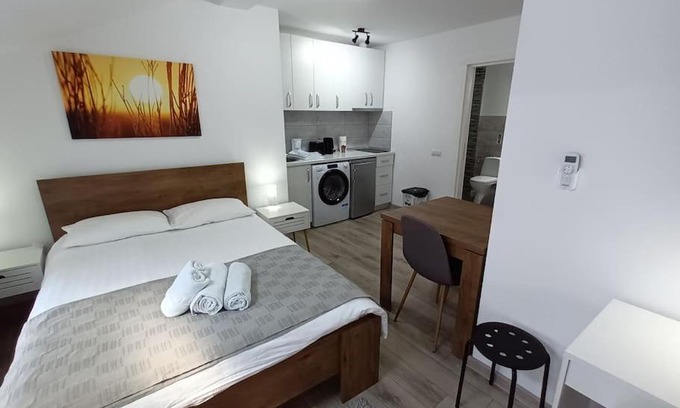 Baia Mare Apartment | Budget-Friendly Old Town Studio 2 Apartment near Attractions