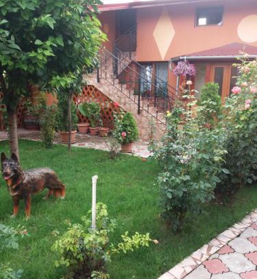 Alba Iulia Apartment | Olimpia Apartments: Guest Rated 9.6 with Family Amenities
