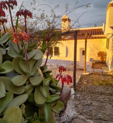 Portalegre House | Oceanfront Serenity at Olive - Casa da Boavista, Rated 10/10