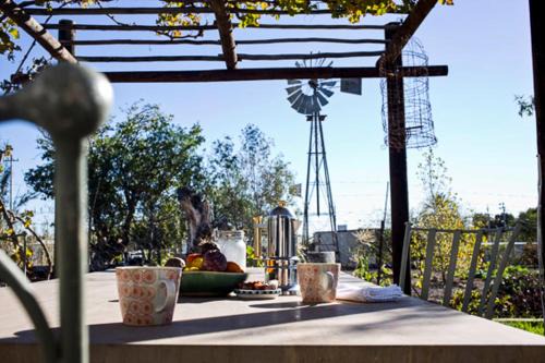 Prince Albert House | Unforgettable Stay at Olive Grove House - 10/10 Rated