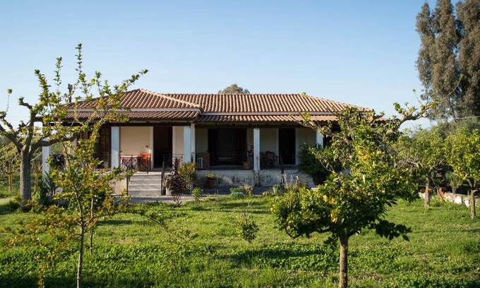 Agia Marina Apartment | Serene Olive Grove Zakynthos with Oceanfront Views
