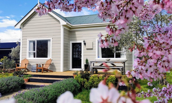 Martinborough Cottage | Exceptional Olive Tree Cottage with Ocean View in Martinborough