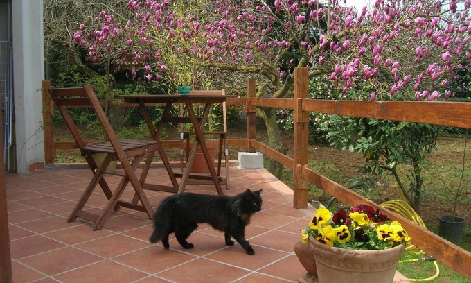 Zagarolo House | Relax at Olive Tree Hill: Pool, Spa & Family-Friendly Fun