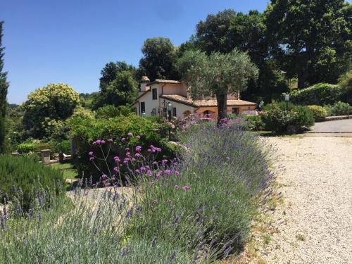 Campagnano di Roma Villa | Olivella: Guest Rated 10/10 with Pool & Family Amenities