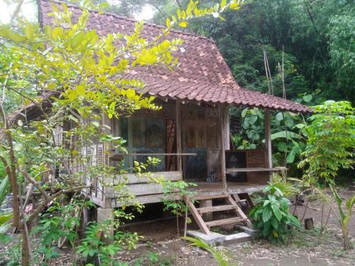 Bangunjiwo House | Omah Guyub Desa