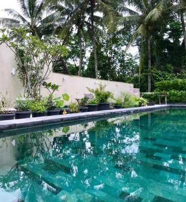 Candi Binangun House | Omah SunFlower: Oceanfront Pool with Breakfast Included