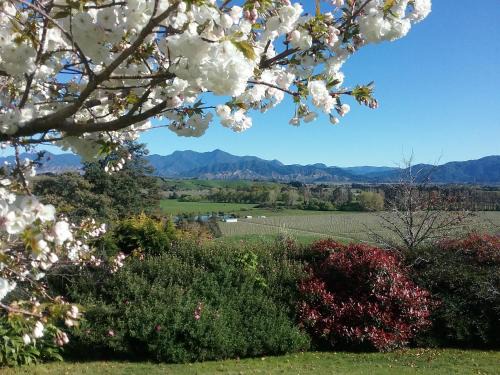 Hawkesbury Bed & Breakfast | Experience Omaka Heights Countrystay: Rated 9/10 & Accessible
