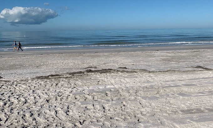 Belleair Beach Condo | Beachside Villa Steps from Pool with Ocean View Amenities