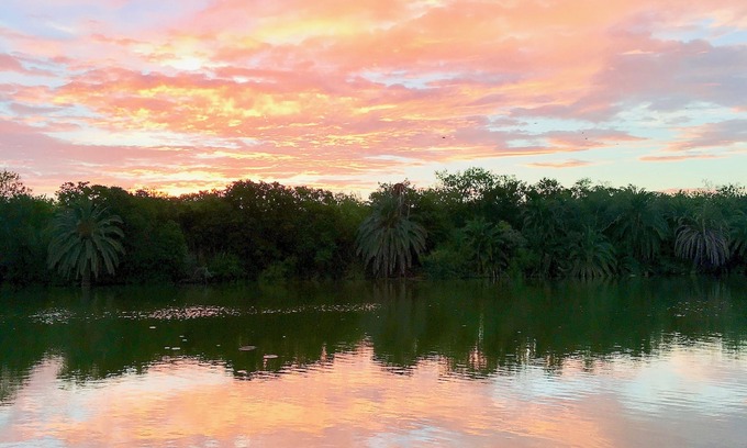 Progreso Lakes House | On the Water! Birdwatching in Progreso Lakes!