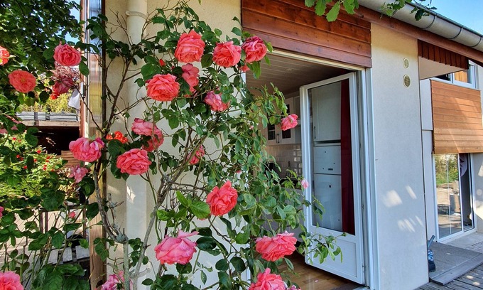 Barr Apartment | Relax on Your Terrace, Embrace the Vibes of Alsace
