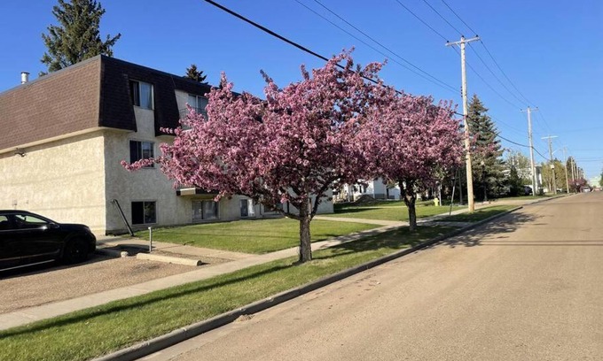 Camrose Apartment | Cozy One Bedroom Apartment with Child-Friendly Amenities