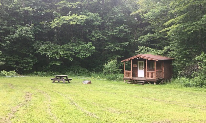Dryden Cabin | Cozy Log Cabin in Scenic Woodland Campground - Guest Rated 10/10
