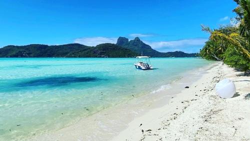 Bora Bora Bed & Breakfast | Experience ONLY YOU MOTU: Oceanfront Retreat with Spa