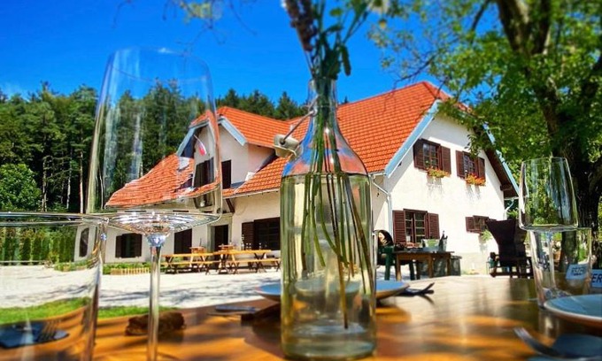Hrastnik House | Discover OPA Resort: Pet-Friendly Oceanfront Escape