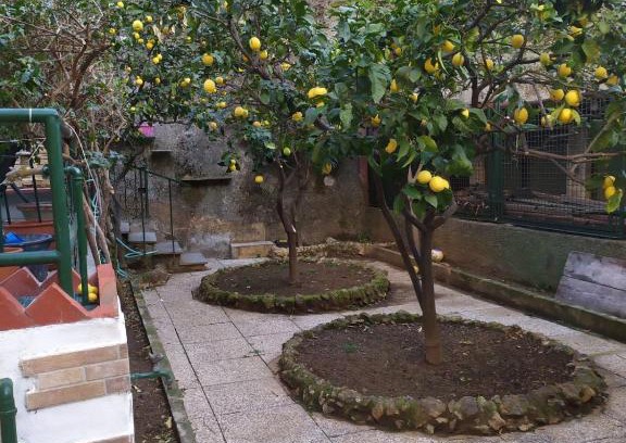 Pegli Apartment | Book Oparavisegenova: Pet and Child-Friendly Retreat