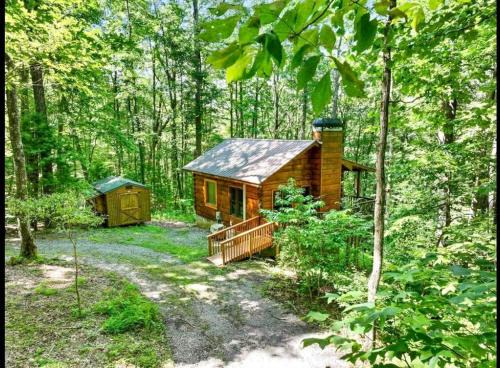 Blue Ridge House | Delightful Open Studio Lodge at Little Rock Creek