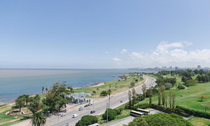 Punta Carretas Hotel | Discover Opta Coliving Punta Carretas: Pet-Friendly Retreat