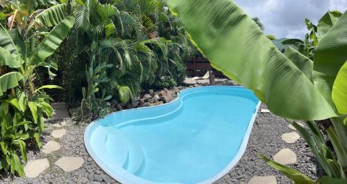 Sainte-Anne Apartment | Eco-Friendly Oasis at Orcéa & Spa with Oceanfront Views