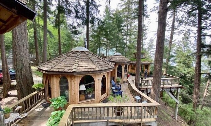 Olga House | Experience Orcas Island: Forest House with Family-Friendly Perks