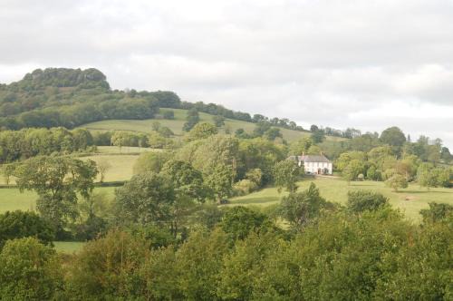Honiton House | Delightful Orchard Barn: Pet-Friendly Stay with Breakfast