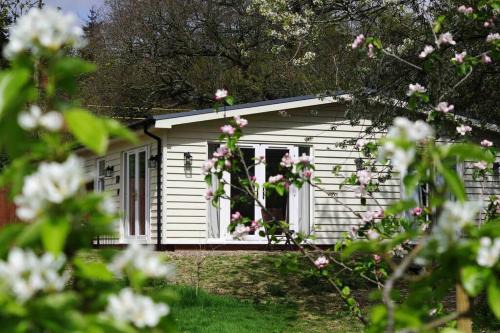 Etchinghill House | Discover Orchard Cottage - Kent: Pet & Child Friendly Retreat