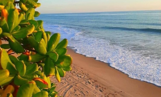 Orchid House | Orchid Island Family Retreat with Private Beach & Hot Tub