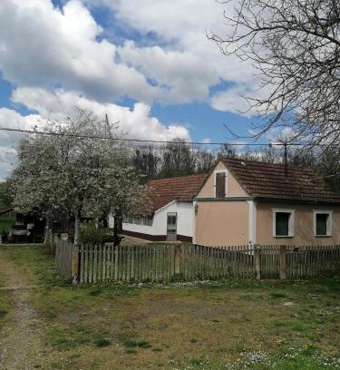 Babina Greda Apartment | Family-Friendly Orljak with Top-Rated Amenities