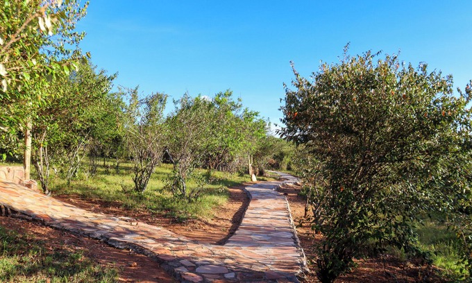Maasai Mara Hotel | Explore Orngatuny Mara King Camp: Family-Friendly Retreat