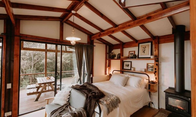 Springbrook Ski Chalet | Experience Nature at Orsini’s Rainforest Retreat