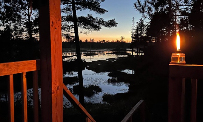 Newberry Cabin | Remote Rustic Cabin with ORV/ATV Access – Pet Friendly!