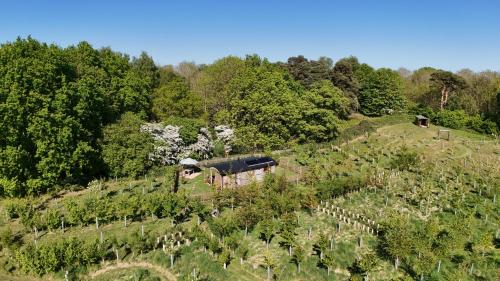 Spilsby Apartment | Oskar's Shepherd's Hut at Snug Hollow