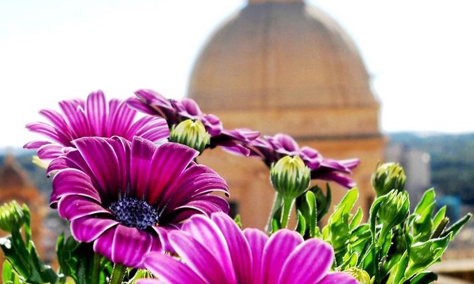 Noto Historic Centre Hostel | Discover Ostello della Gioventù - Il Castello: Pet-Friendly Stay