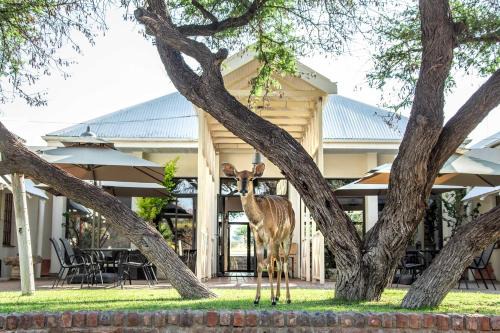 Otjiwarongo Cabin | Otjibamba Lodge: Oceanfront Retreat with Pool & Dining