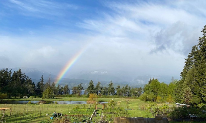 Denman Island House | Family-Friendly Otter Lake B&B with Oceanfront Views