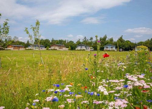 Dereham Resort | Unforgettable Family Stay at Otters Mead Boutique Lodges