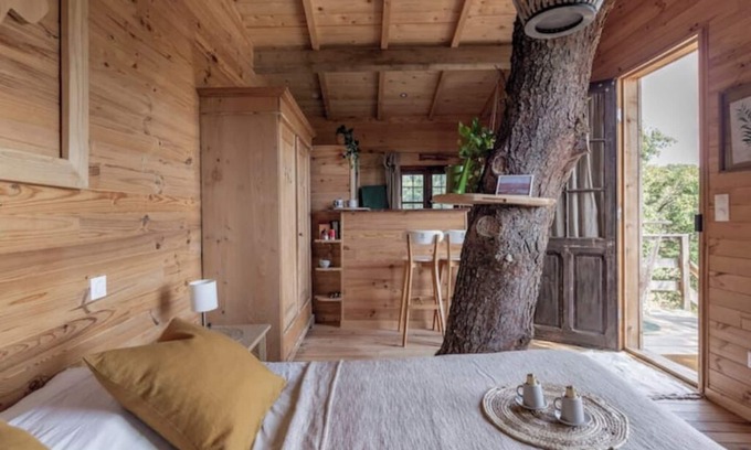 Sorgues Cabin | Our Cabane Perchée in the heart of the vineyards