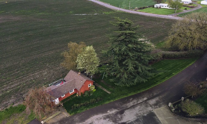 Saint Paul Cottage | Discover Our Cottage on Champoeg: 10/10 Guest Rated Retreat