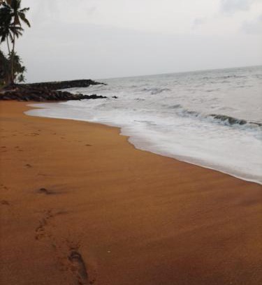 Wadduwa House | Discover Our Little Secret: Pet-Friendly with Ocean Views