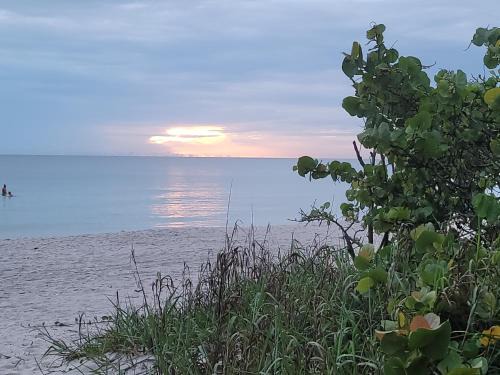 Vanderbilt Beach Apartment | Discover Our Naples Hideaway: Oceanfront Family Retreat