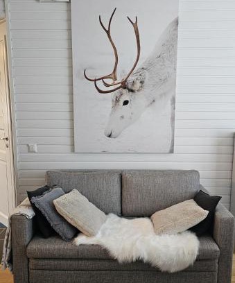 Saariselka Apartment | Outapailakka K18