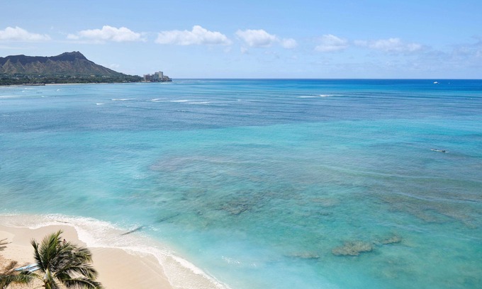 Waikiki Hotel | Experience OUTRIGGER Reef Waikiki Beach Resort: Pet Friendly & Ocean View