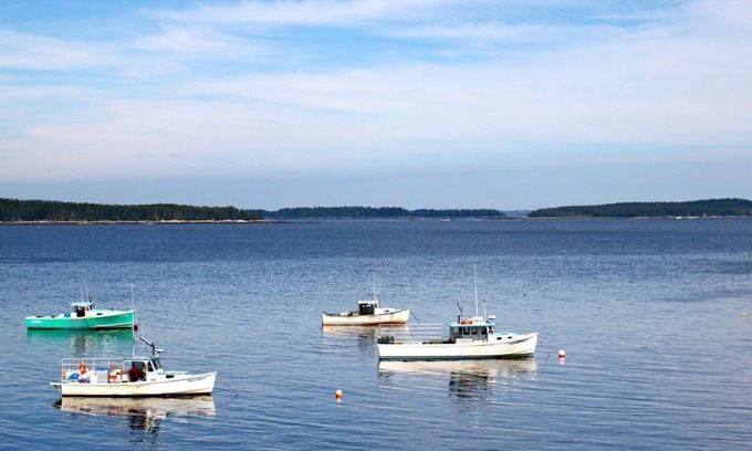 Milbridge House | Exceptional Oceanfront Retreat with Pool & Pet-Friendly Options