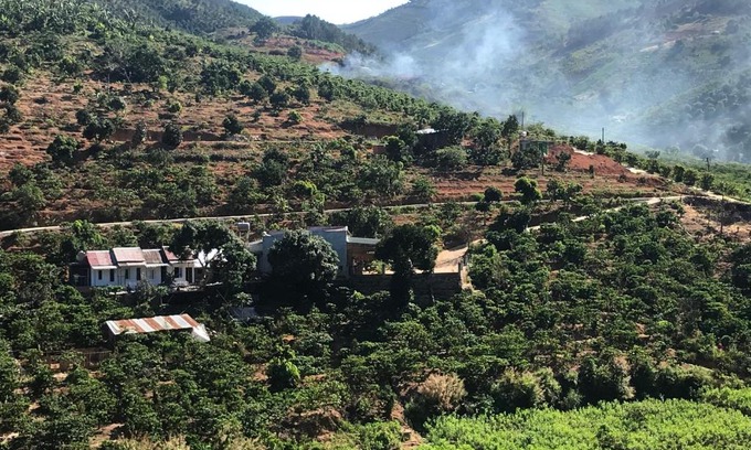 Da Lat House | Discover OVi Coffee Farmstay in Scenic Đà Lạt