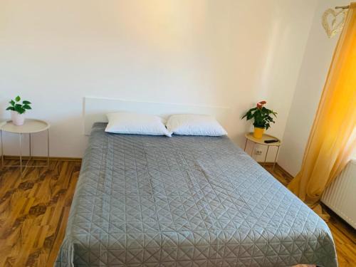 Cisnadie Apartment | Top-Rated Ovidius Apartment - Pet & Child Friendly Stay