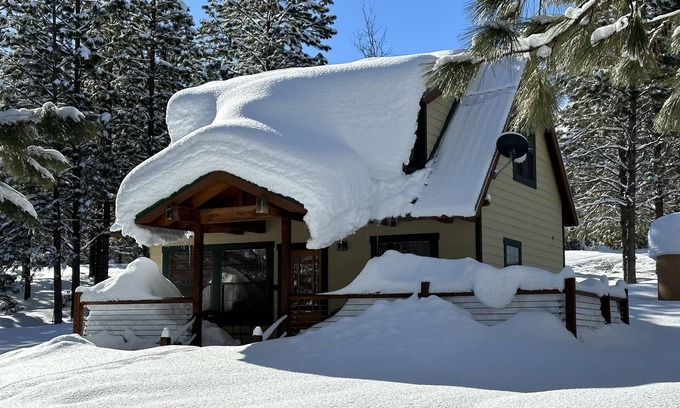 Foresta Cabin | Discover Owl Moon Cabin: A Gem in Yosemite National Park