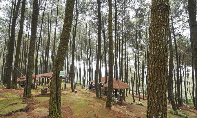 Cimahi House | Discover OYO Homes 90914: Family-Friendly Eco Tourism Retreat