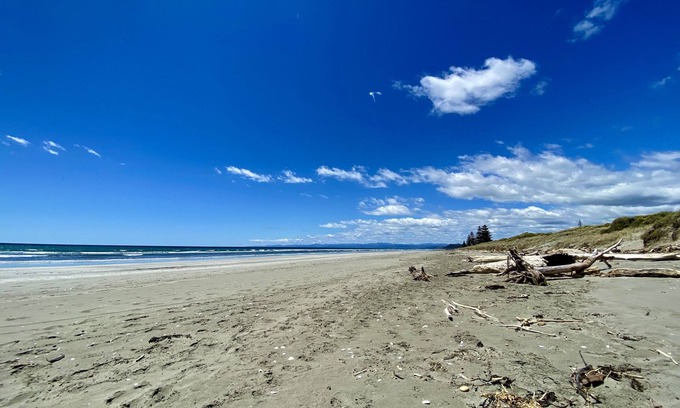 Ohope House | Oystercatcher Bach: Oceanfront Retreat with Pool & Breakfast