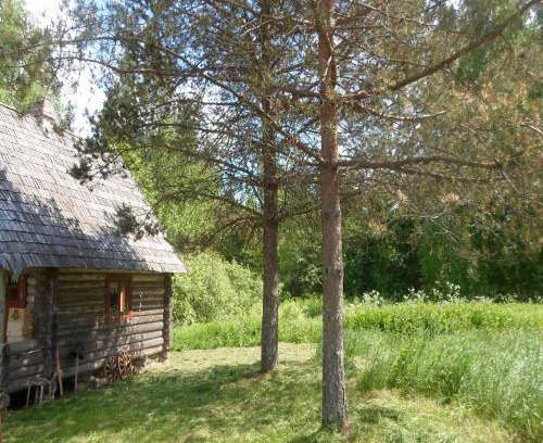 Rouge Other | Pet-Friendly Escape at Pähnamäe Metsamajake with Ocean Views